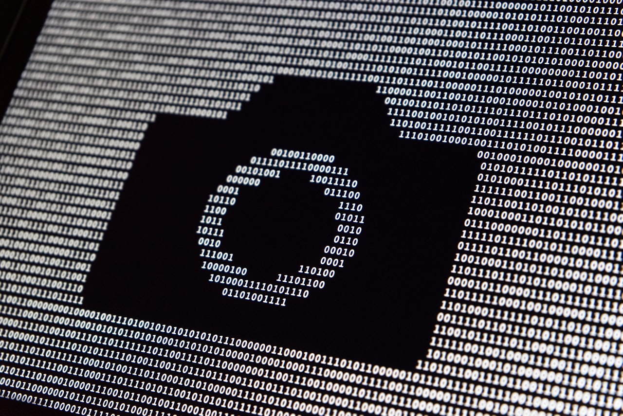 Ruka koja na ekranu računala provjerava detalje fotografije